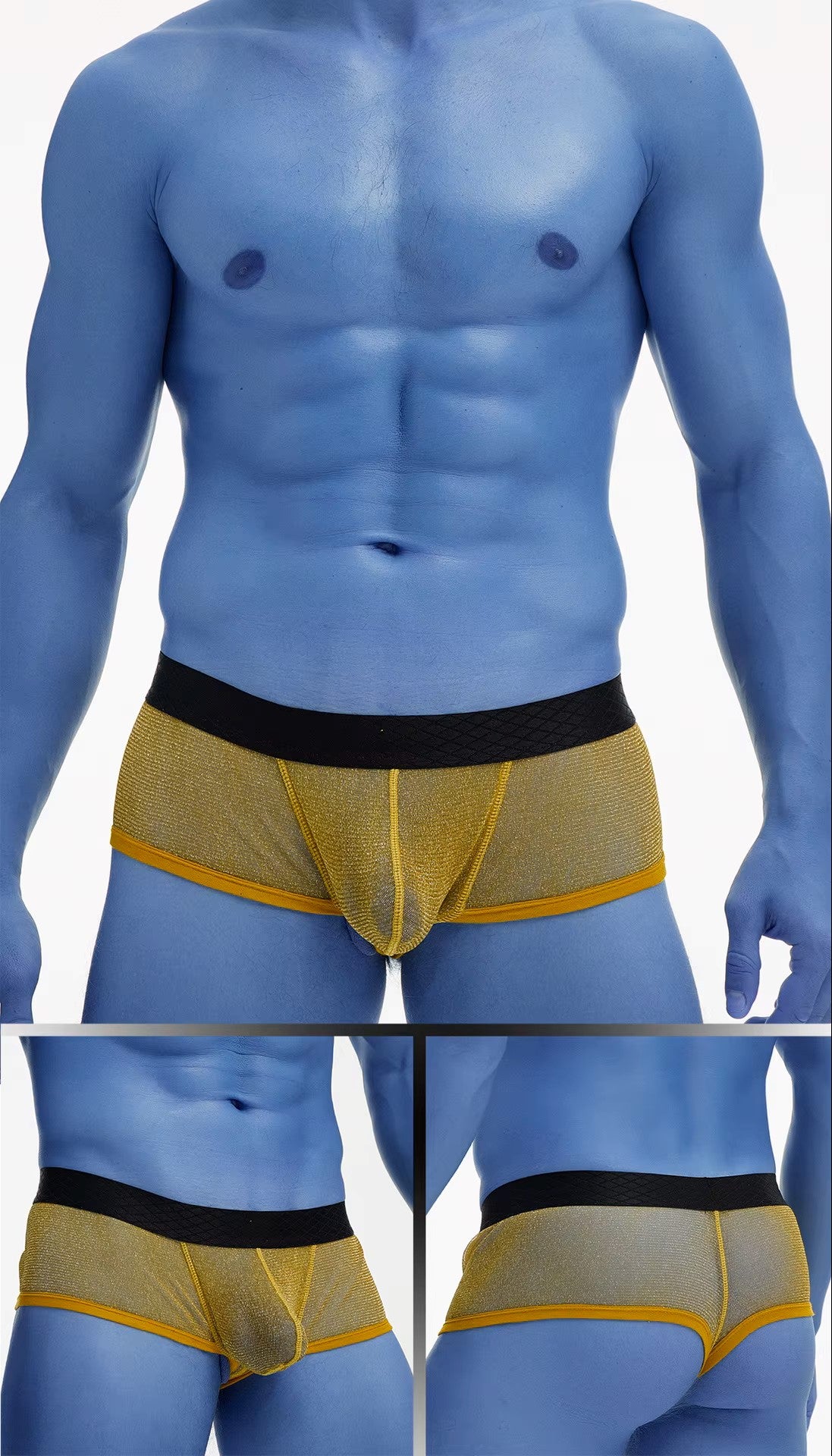 Fine Mesh Breathable Boxer Briefs Plus