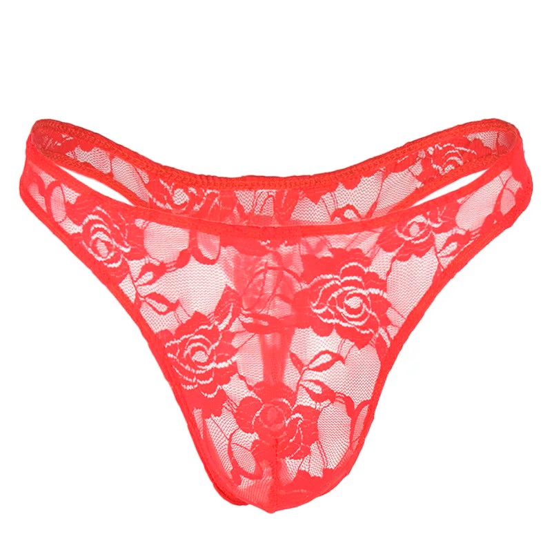 Lace Spandex Brief Thong