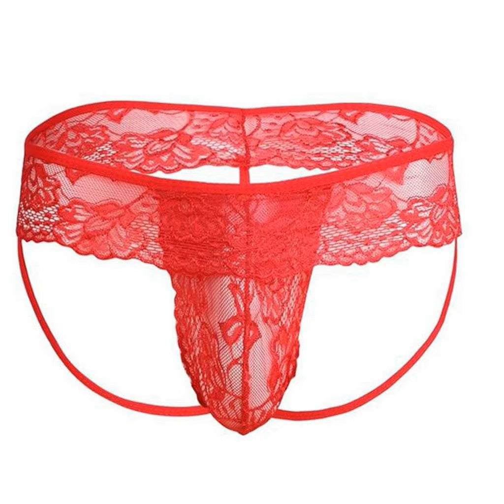 Lace Transparent Brief or Thong