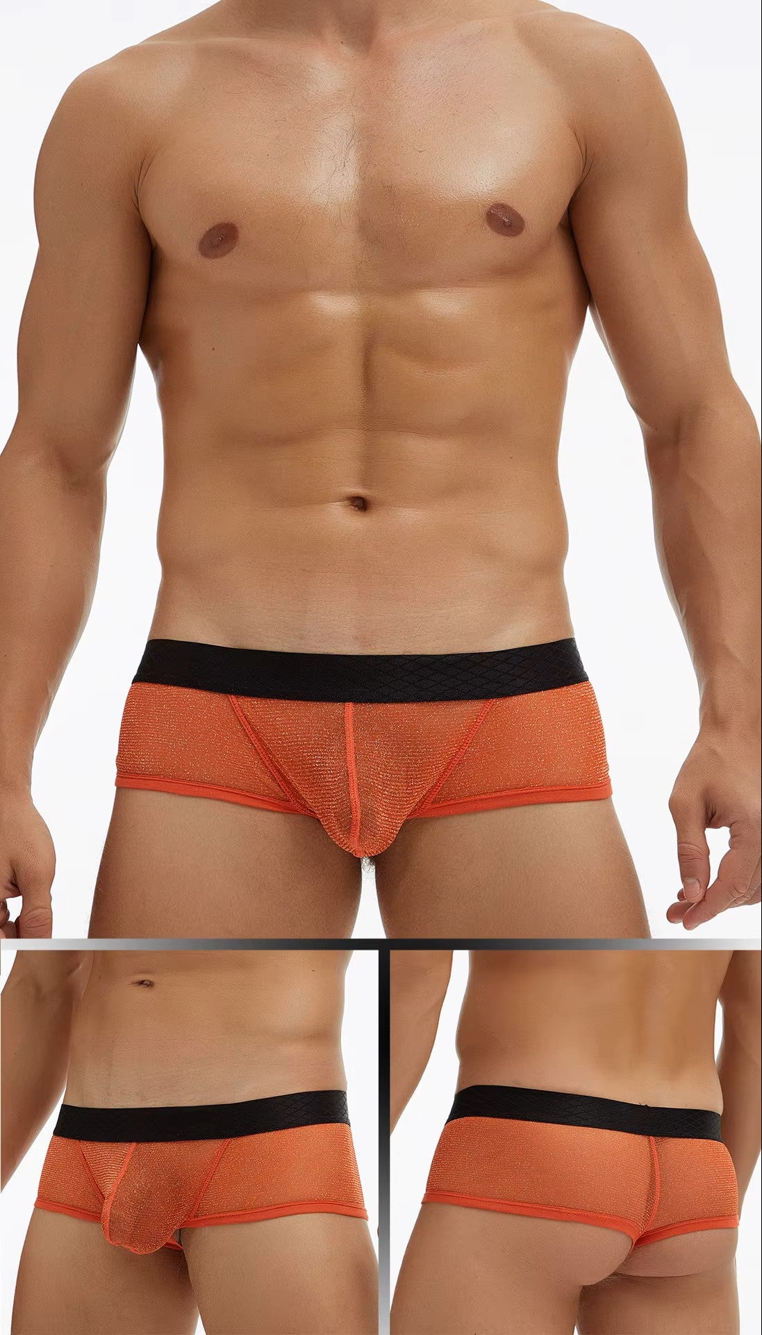 Fine Mesh Breathable Boxer Briefs Plus
