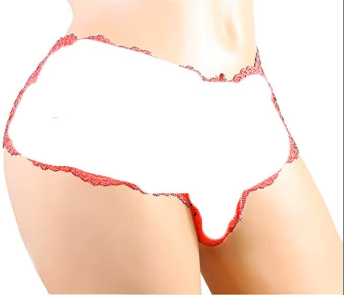 Lace Transparent Brief or Thong