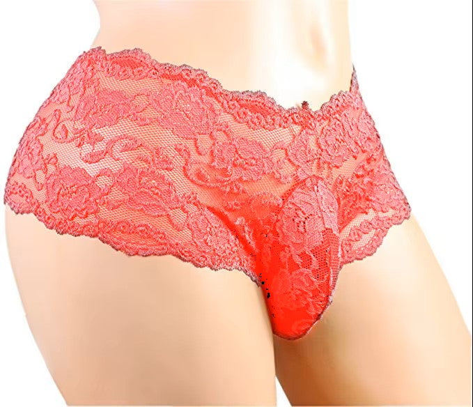 Lace Transparent Brief or Thong
