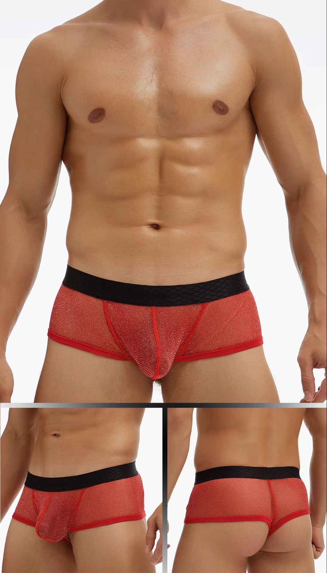 Fine Mesh Breathable Boxer Briefs Plus